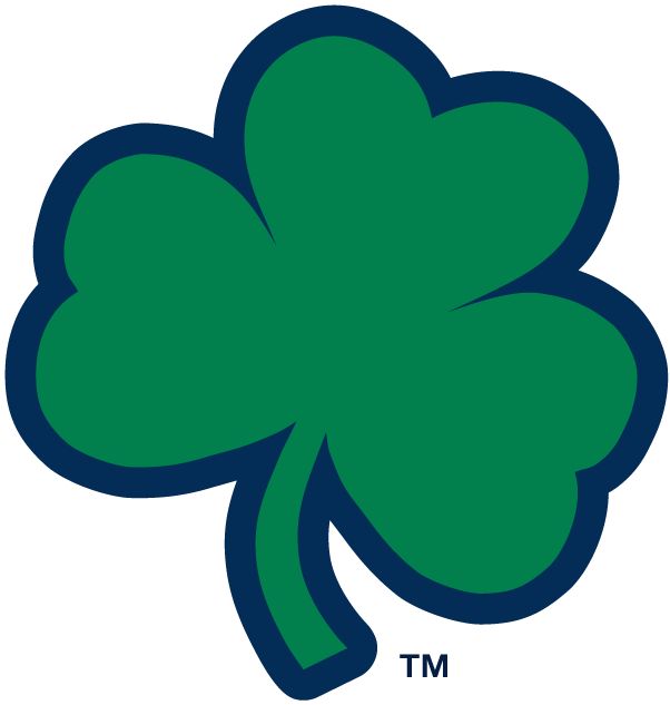 Notre Dame Fighting Irish 1994-Pres Alternate Logo v6 iron on transfers for fabric
